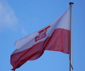 пазл Флаг Польши